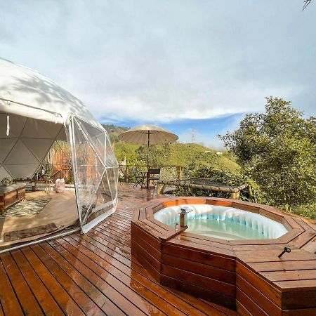 Nazca Glamping Hotel Villamaria Exterior photo